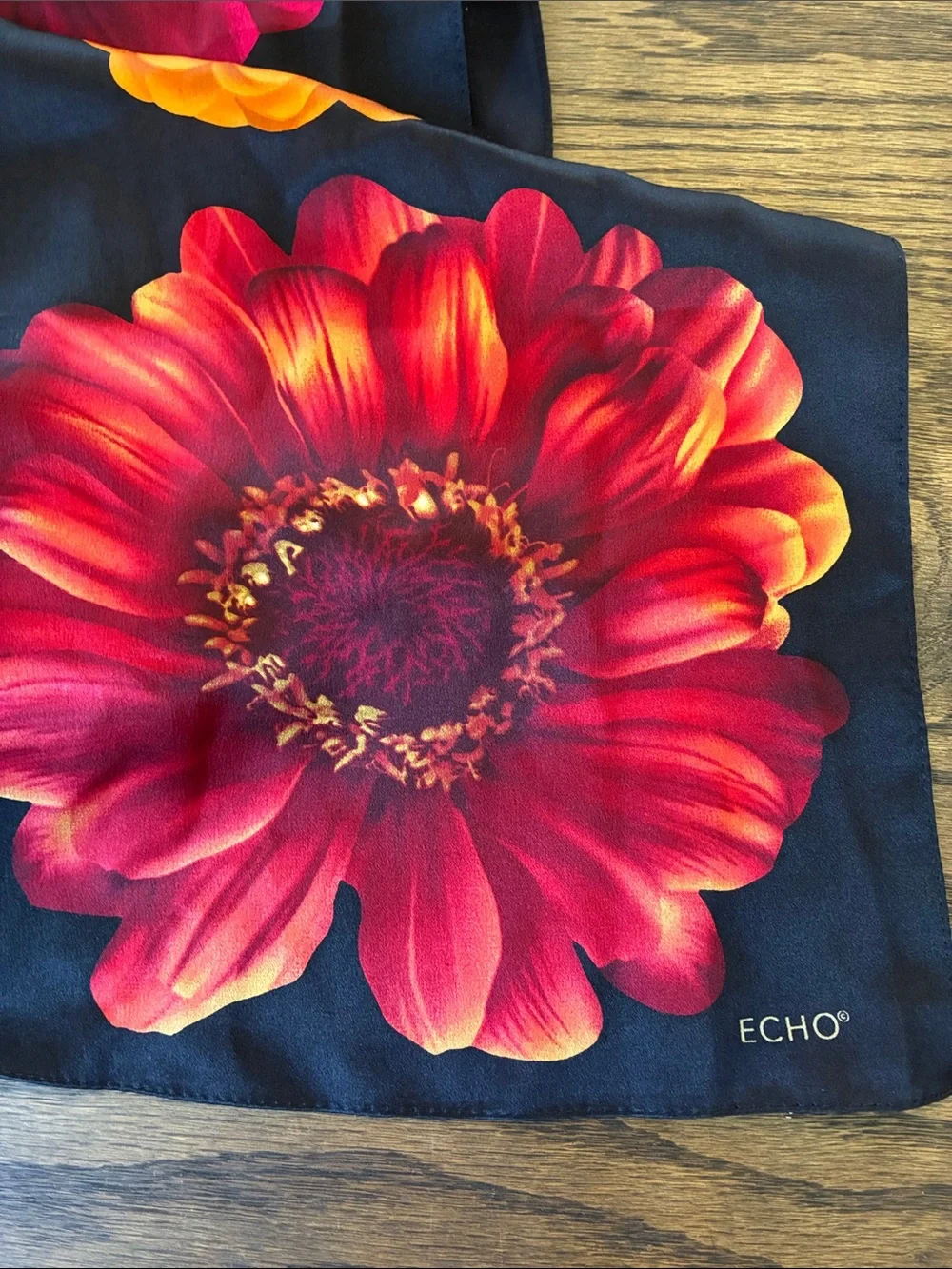Echo Silk Scarf